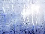 Khái niệm nồm ẩm là gì và hướng dẫn cách khắc phục hiệu quả