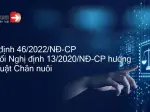 Nghị định 13 hướng dẫn luật chăn nuôi chi tiết mới nhất