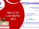 Nghị định hướng dẫn luật lao động 2012 mới nhất chi tiết