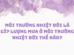 Nhiệt đới là gì và những đặc trưng cơ bản bạn cần nắm rõ
