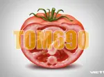 Tìm hiểu chi tiết gói cước tom690 là gì và các thông tin bạn cần biết
