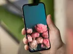 Tổng hợp bộ hình nền hoa mẫu đơn trắng tuyệt đẹp tinh khôi