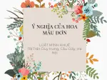 Tổng hợp hình nền hoa mẫu đơn ý nghĩa sâu sắc thu hút tình duyên