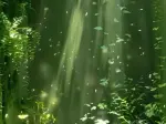 Tuyển tập bộ hình nền màu trắng xanh tinh tế và thanh lịch nhất 2026