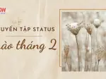 Tuyển tập những hình ảnh cô gái tháng 2 xinh đẹp rạng ngời nhất năm 2026