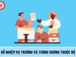 Vụ trưởng là gì và tiêu chuẩn bổ nhiệm chức vụ mới nhất