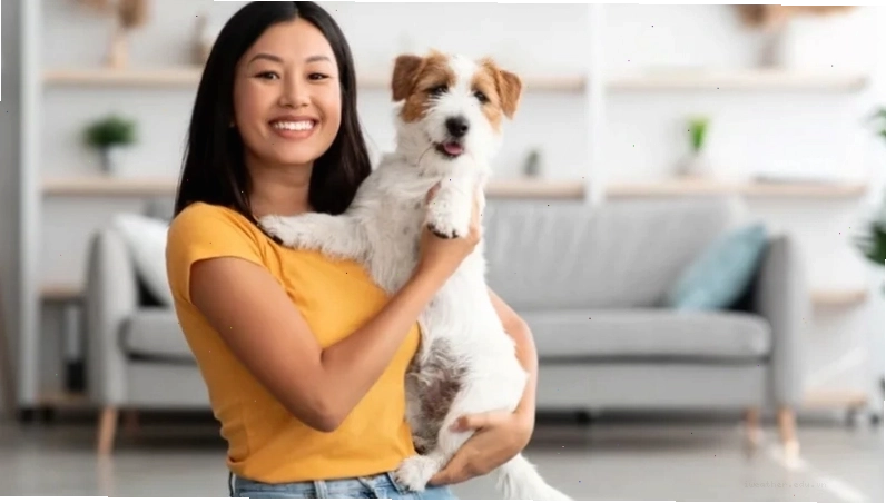 Woman holding her dog during health check