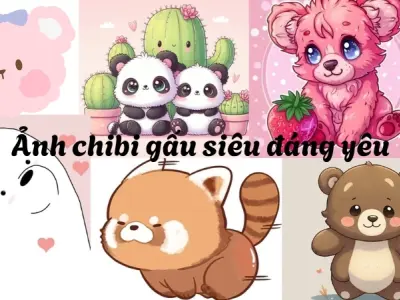 Tổng hợp ảnh chibi gấu siêu đáng yêu dành cho fan gấu