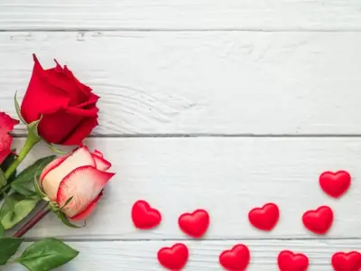 Hình nền hoa hồng lãng mạn nhất cho điện thoại & máy tính