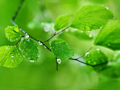 Bộ sưu tập hình nền thiên nhiên phong cảnh đẹp mê hồn