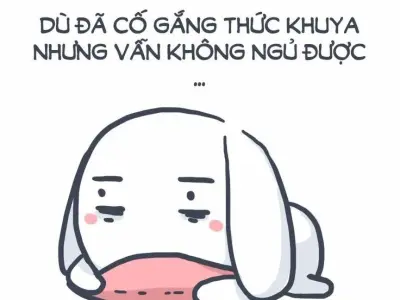 Tổng hợp meme ngủ hài hước giúp bạn thư giãn sau ngày dài mệt mỏi