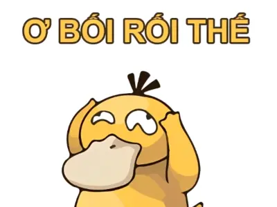 Giải mã loạt meme khó hiểu đang làm mưa làm gió trên mạng