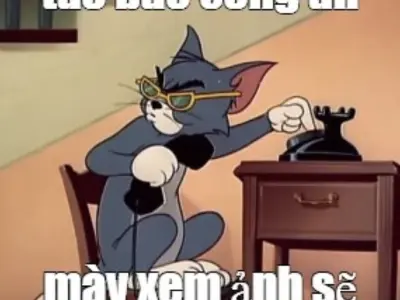 Meme mèo Tom và loạt biểu cảm đỉnh cao gây sốt trên mạng
