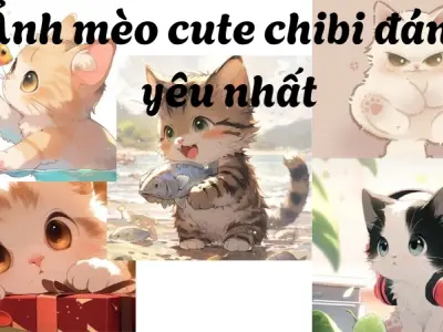 Ảnh mèo cute chibi đáng yêu nhất dành cho tín đồ mê mèo