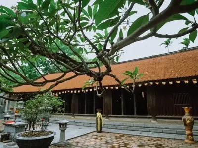 Hành hương chùa Vĩnh Nghiêm trải nghiệm tâm linh yên bình