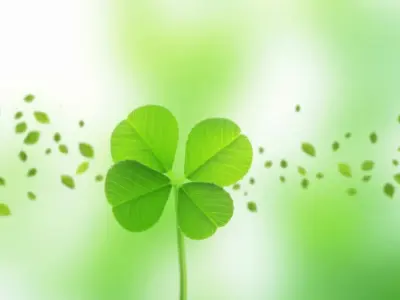 Hình nền cỏ 4 lá mang biểu tượng may mắn và bình an