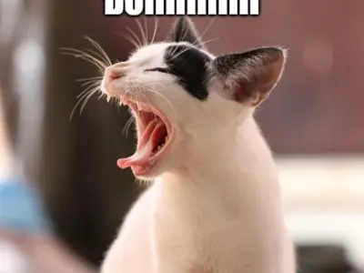 Tổng hợp các meme há mồm viral nhất, cười xỉu từ cái nhìn đầu tiên