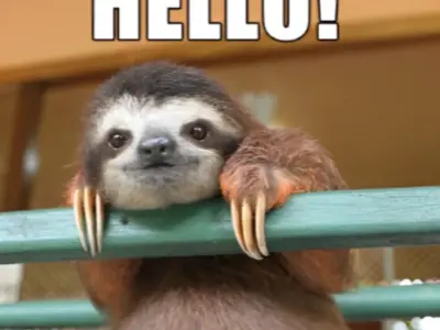 Tổng hợp Meme Hello bá đạo khiến bạn cười ngất