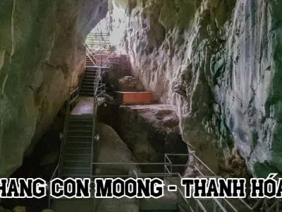 Hang Con Moong - Hang động độc đáo giữa núi đá vôi