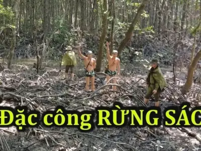 Rừng Sác - Nơi lưu giữ ký ức chiến tranh và di tích Việt Nam