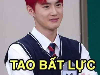Tuyển chọn ảnh meme bất lực cực hài hước được chia sẻ nhiều