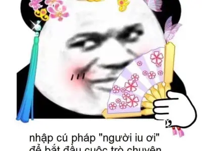 Tải ngay meme gấu cực hài hước để thỏa sức sáng tạo