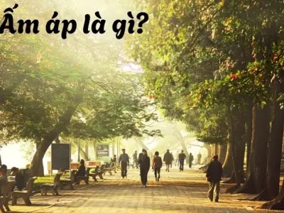 Ấm áp là gì? Đặc trưng khí hậu trong khu vực nhiệt đới