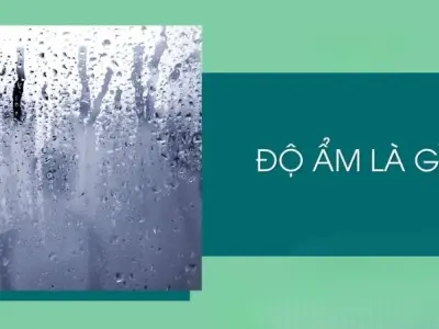 Độ ẩm là gì và mối liên hệ chặt chẽ với nhiệt độ không khí