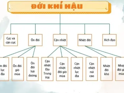 Đới khí hậu là gì? Khám phá bản đồ thời tiết toàn cầu