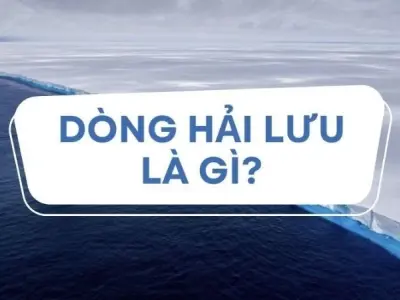 Dòng hải lưu là gì? Bí ẩn sức mạnh di chuyển của đại dương