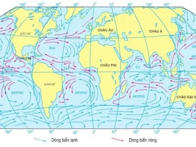 Dòng nóng là gì? Bí ẩn đằng sau sự thay đổi của đại dương