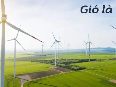 Gió là gì và vì sao nó ảnh hưởng mạnh đến thời tiết