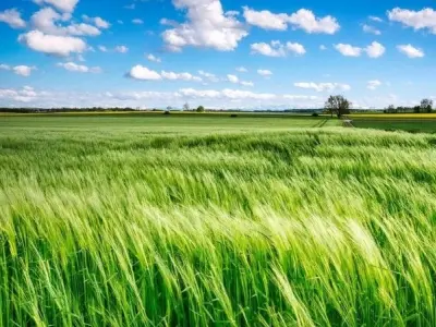 Gió đổi chiều là gì? Bí ẩn trong chuyển động của khí lưu