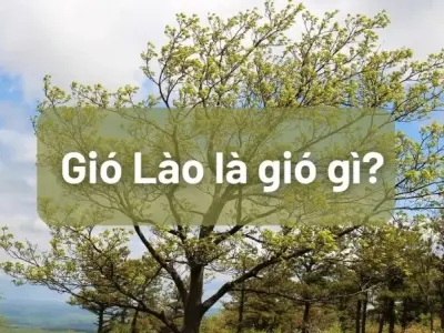 Gió Lào là gì? Hiện tượng thời tiết khắc nghiệt miền Trung