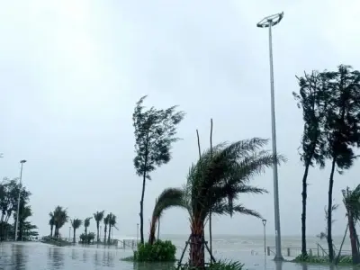 Gió mạnh là gì? Khi tự nhiên phô diễn sức mạnh khí lưu