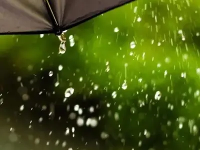 Hạt mưa là gì? Quá trình kỳ diệu trong chu trình nước
