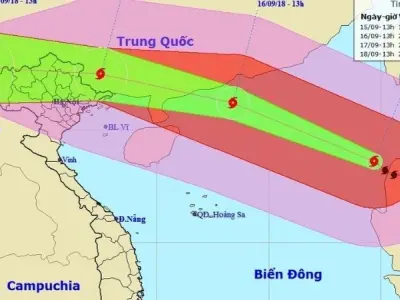 Hướng di chuyển của bão là gì? Hiểu rõ để phòng tránh sớm