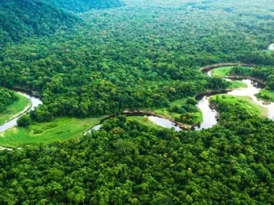 Khí hậu cận nhiệt đới ẩm là gì? Khí hậu đặc trưng châu Á