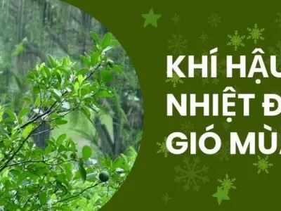 Khí hậu nhiệt đới gió mùa là gì? Yếu tố chi phối mùa màng