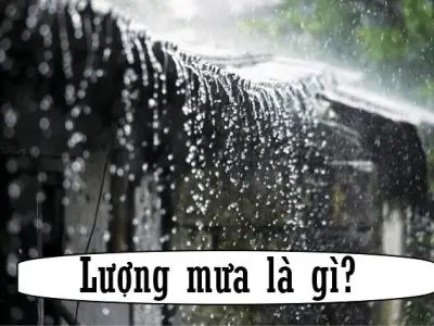 Lượng mưa là gì? Tìm hiểu hiện tượng khí tượng đặc trưng