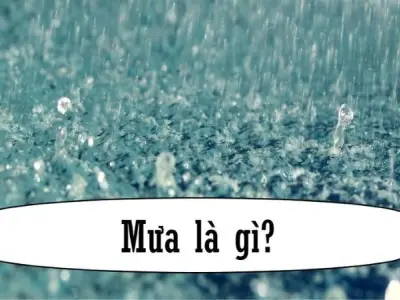 Mưa là gì và vì sao mỗi nơi lại có lượng mưa khác nhau