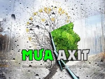 Mưa axit là gì? Giải mã hiện tượng cực đoan đầy rủi ro