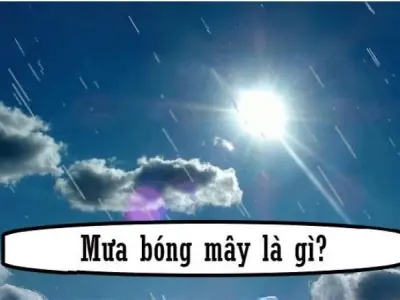 Mưa bóng mây là gì? Hiện tượng thời tiết kỳ lạ và độc đáo
