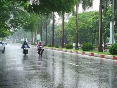 Mưa nhỏ là gì? Khi mưa li ti rơi nhẹ tạo cảnh vật ẩm ướt