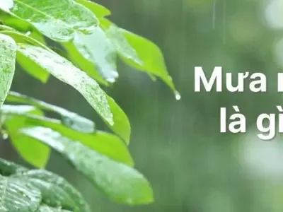 Mưa rào là gì? Hiện tượng mưa phổ biến vùng nhiệt đới