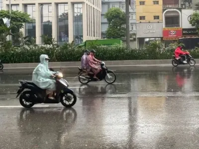 Mưa vừa là gì? Hiện tượng phổ biến trong dự báo thời tiết