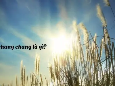 Nắng chang chang là gì? Nguyên nhân khiến trời nắng dữ dội