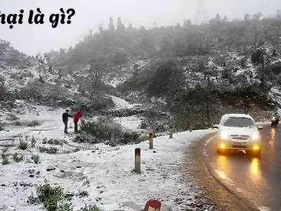 Rét hại là gì? Hiện tượng cảnh báo thời tiết nguy hiểm