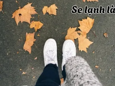 Se lạnh là gì? Nhiệt độ và độ ẩm thay đổi trong khí quyển