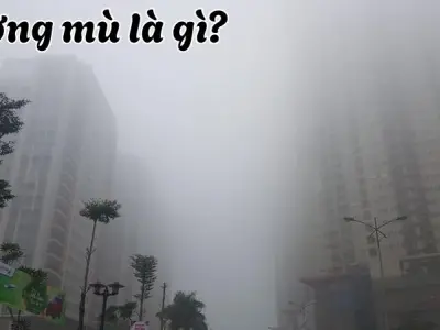 Sương mù là gì và mối liên hệ của nó với thời tiết lạnh